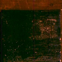 Extend 1 wet.jpg (13965 bytes)