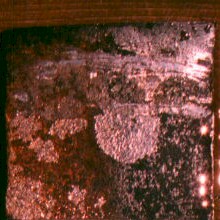 One Step 1 wet.jpg (21644 bytes)