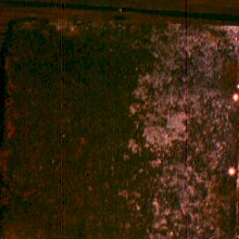 Simple Solutons 1 wet.jpg (16176 bytes)